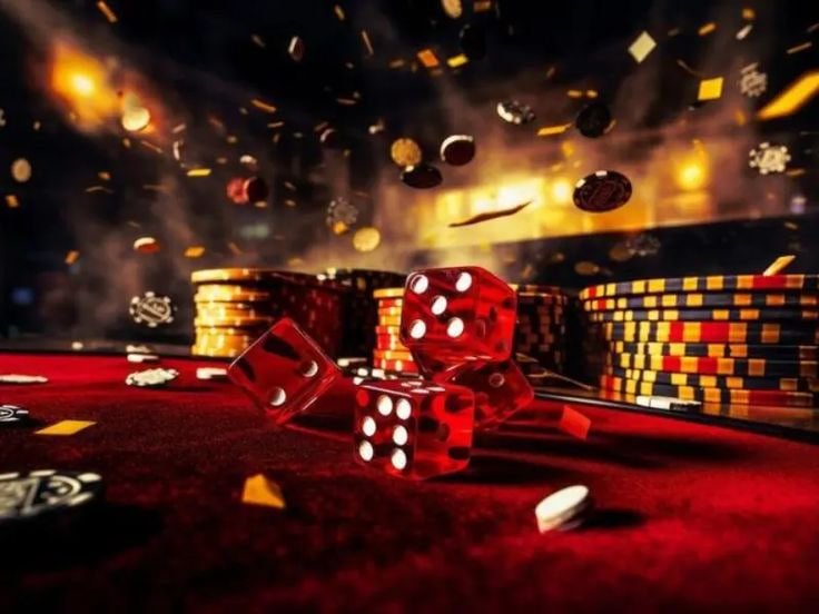 556bet