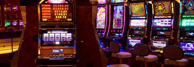 556bet