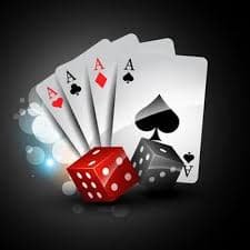 556bet