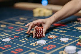 556bet