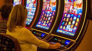 556bet