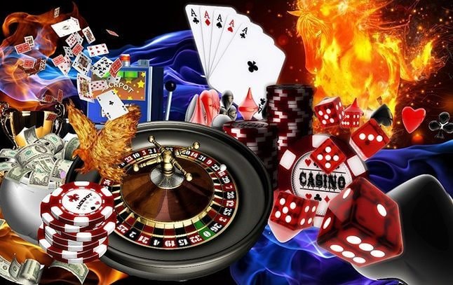 556bet