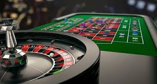 556bet