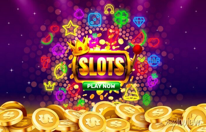 556bet